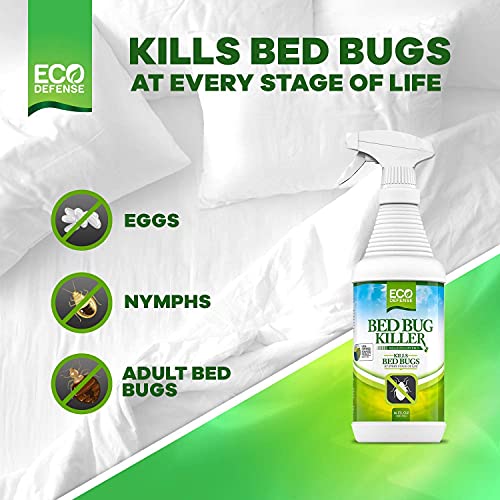 Best image of bed bug sprays