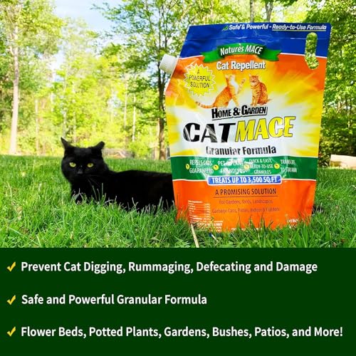 Best image of cat repellents