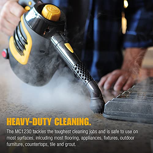 Best image of handheld steam cleaners
