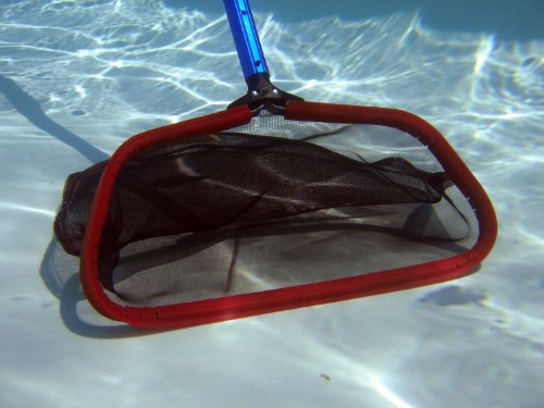 Best image of pool rakes