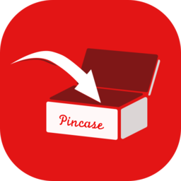 Pincase icon