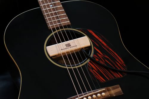 Best image of acoustic guitar pickups