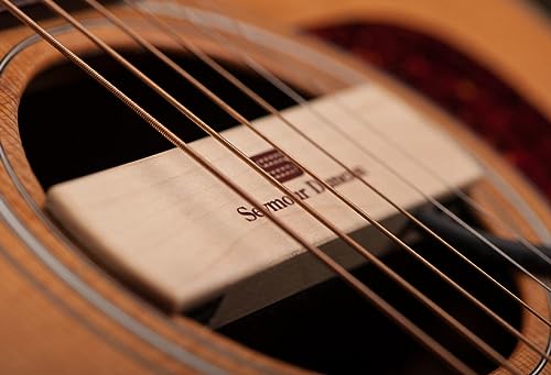 Best image of acoustic guitar pickups