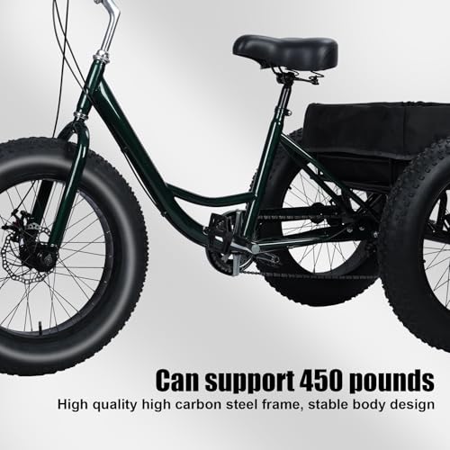 Best image of adult tricycles