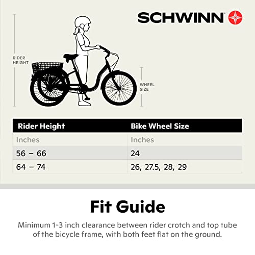 Best image of adult tricycles