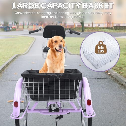 Best image of adult tricycles