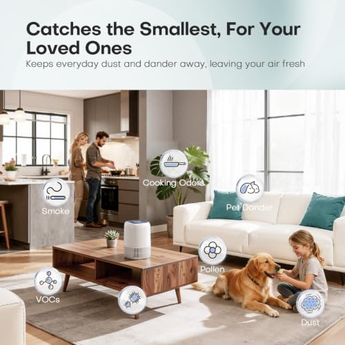Best image of air purifiers
