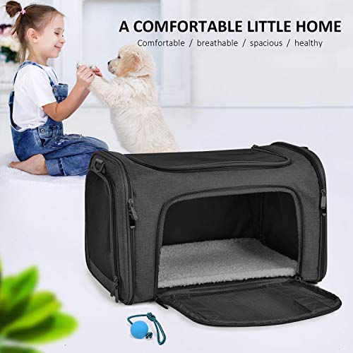 Best image of airline approved dog carriers