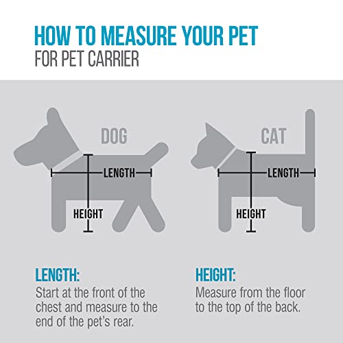 Best image of airline approved dog carriers