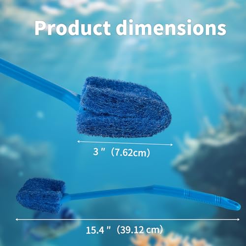 Best image of algae scrapers