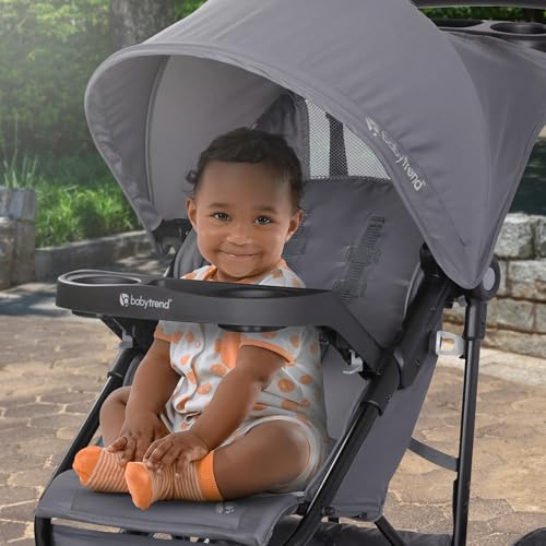 Best image of all terrain strollers