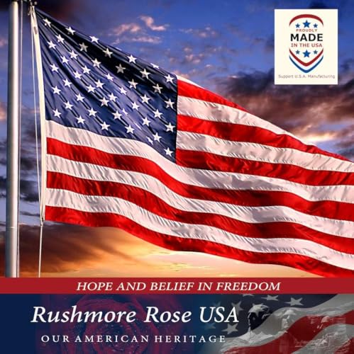 Best image of american flags