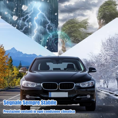 Best image of am/fm car antennas