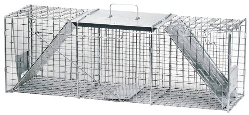 Best image of animal traps