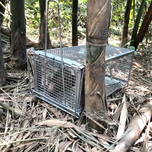 Best image of animal traps
