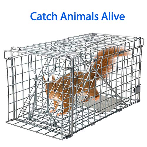 Best image of animal traps