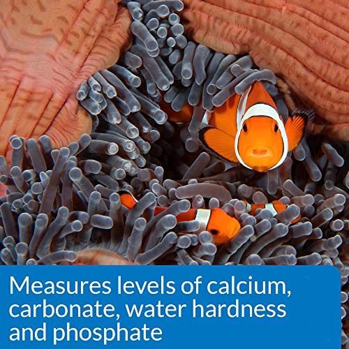 Best image of aquarium test kits