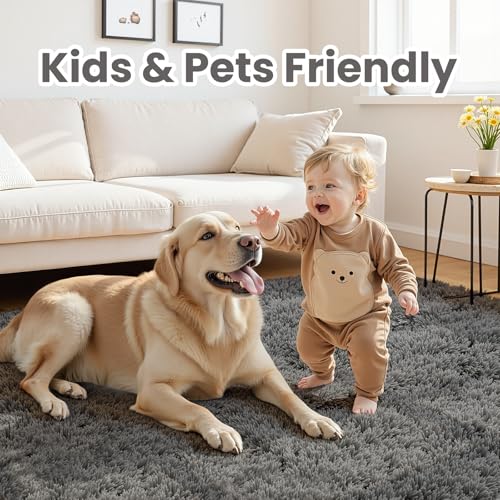 Best image of area rugs