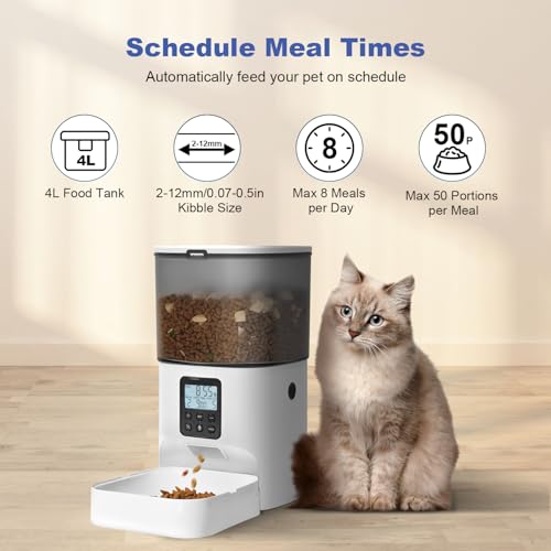 Best image of automatic pet feeders