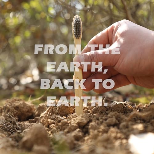 Best image of bamboo toothbrushes