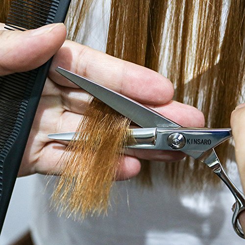 Best image of barber shears