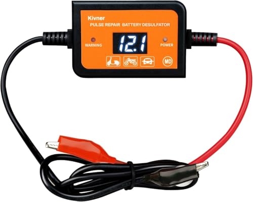 Best image of battery desulfators