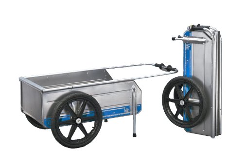 Best image of beach carts