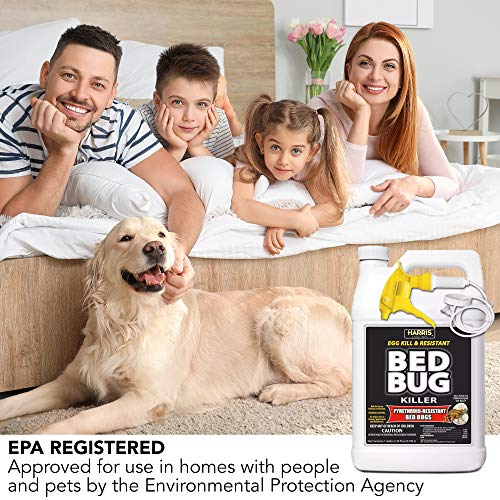Best image of bed bug sprays