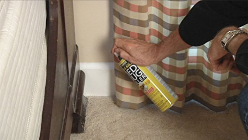 Best image of bed bug sprays