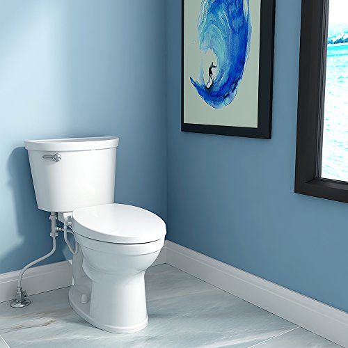 Best image of bidet toilet seats