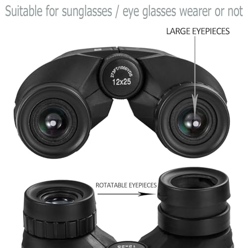 Best image of binoculars