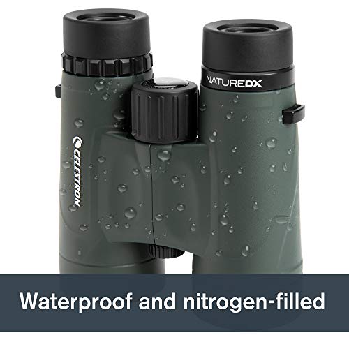 Best image of binoculars