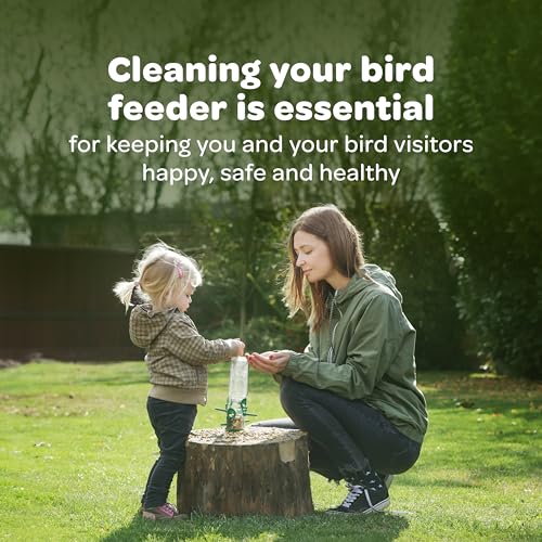 Best image of bird food