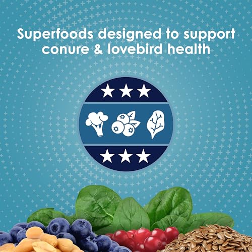 Best image of bird food