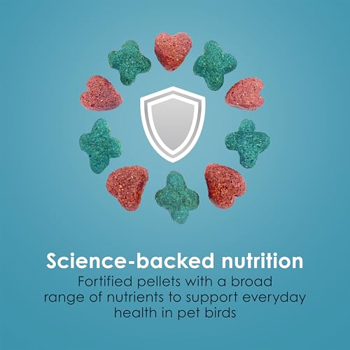 Best image of bird food