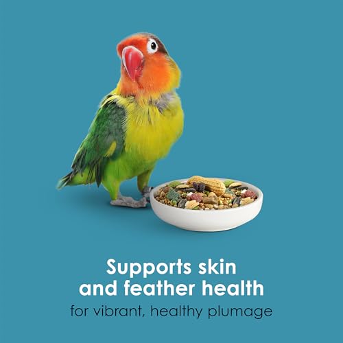 Best image of bird food