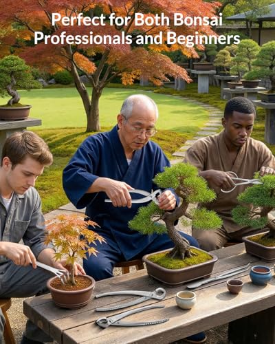 Best image of bonsai tool sets