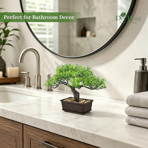 Best image of bonsai trees