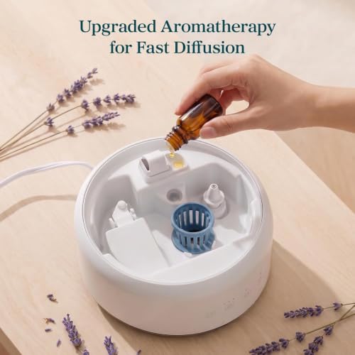 Best image of bpa free humidifiers