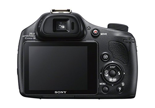 Best image of bridge cameras