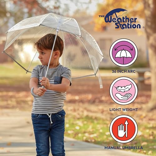 Best image of bubble umbrellas