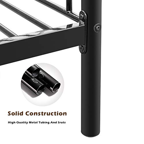 Best image of bunk beds