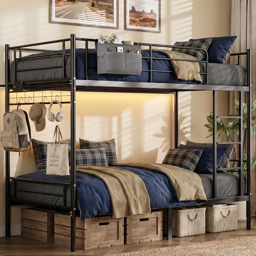 Best image of bunk beds