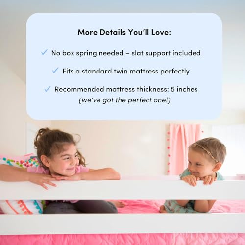 Best image of bunk beds