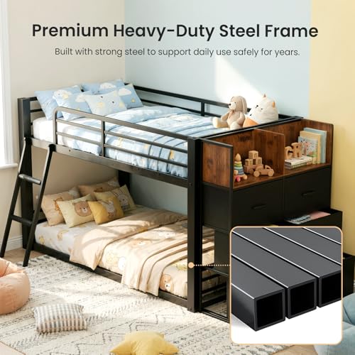 Best image of bunk beds