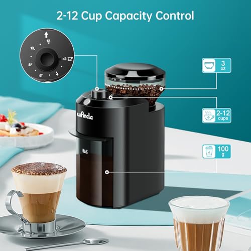 Best image of burr grinders