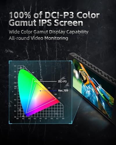 Best image of camera monitors