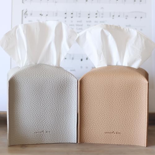 Best image of car tissue holders