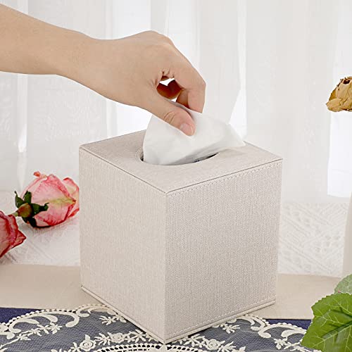 Best image of car tissue holders