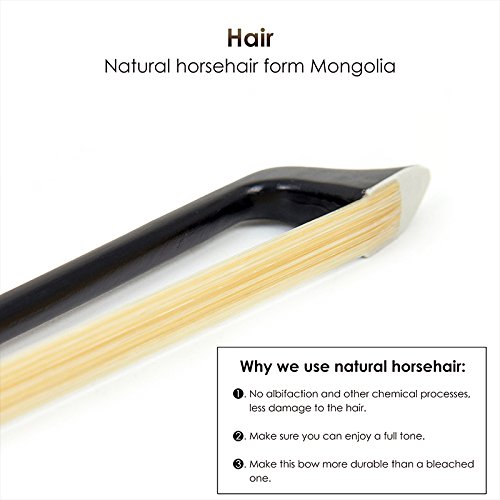 Best image of carbon fiber violin bows